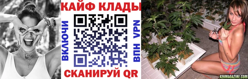 Названия наркотиков Кингисепп Бошки Шишки  A PVP  ГАШИШ  Мефедрон  НБОМе  Кокаин  kraken ONION  АМФЕТАМИН 