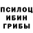 Галлюциногенные грибы прущие грибы Ernest Alderete