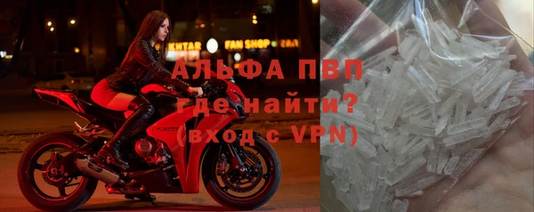 гидра Каменногорск