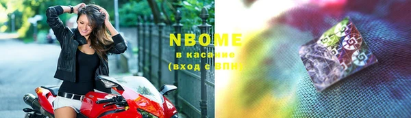 прущие грибы Каменка