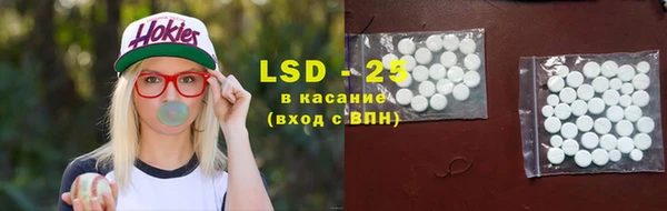 ГАЛЛЮЦИНОГЕННЫЕ ГРИБЫ Карпинск