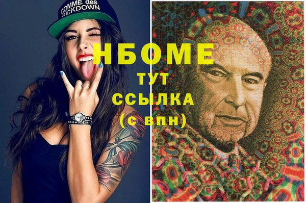 прущие грибы Каменка