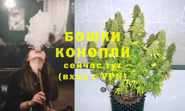 сатива Карталы