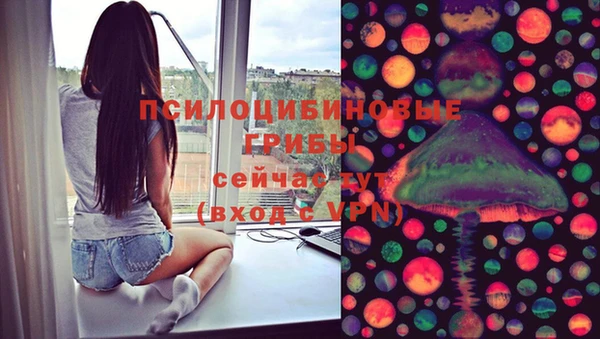 стафф Касимов