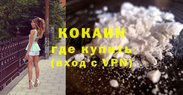 гидра Каменногорск