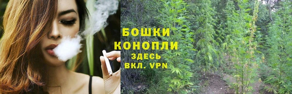 гидра Каменногорск