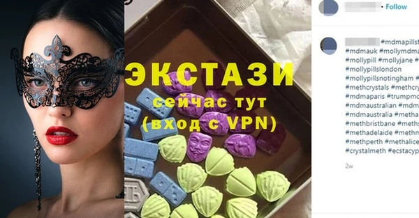 дживик Инта
