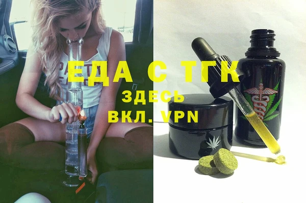 дживик Инта