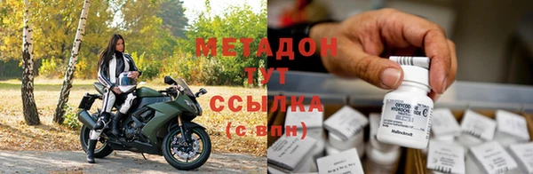 прущие грибы Каменка