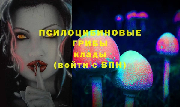 гидра Каменногорск