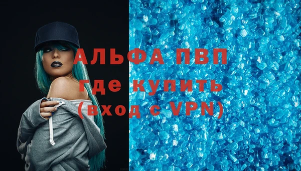 прущие грибы Каменка