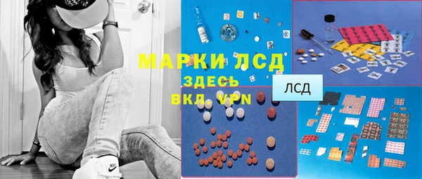 гидра Каменногорск