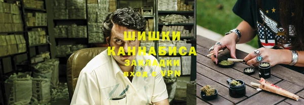 гидра Каменногорск