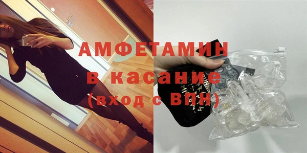 гидра Каменногорск